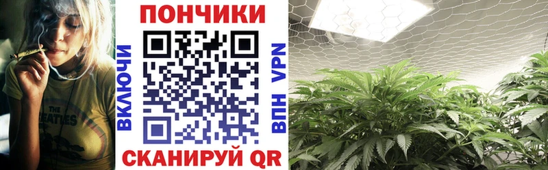 Шишки марихуана OG Kush  Каневская 